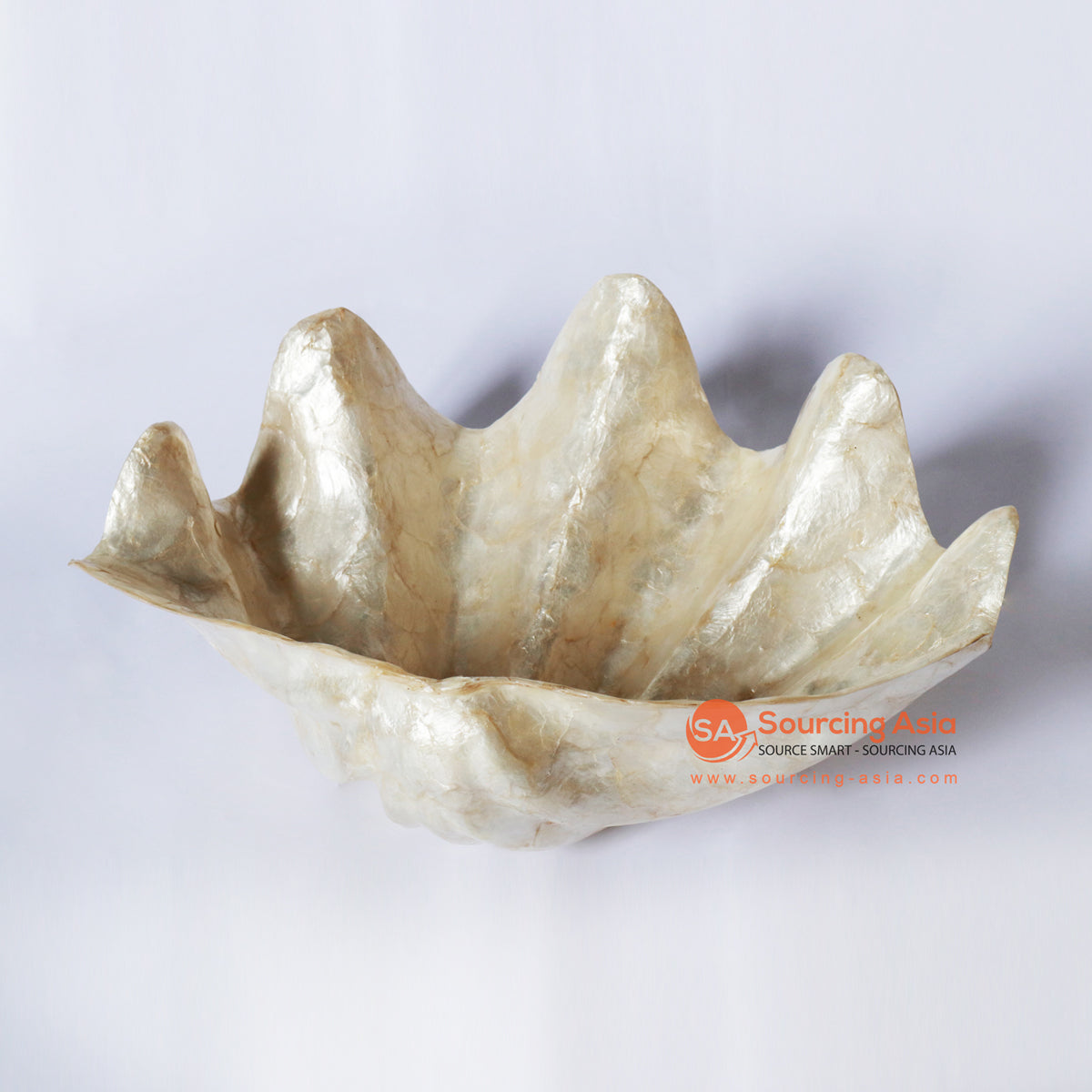 KNT001-1 ANTIQUE RESIN CALM SHELL DECORATION