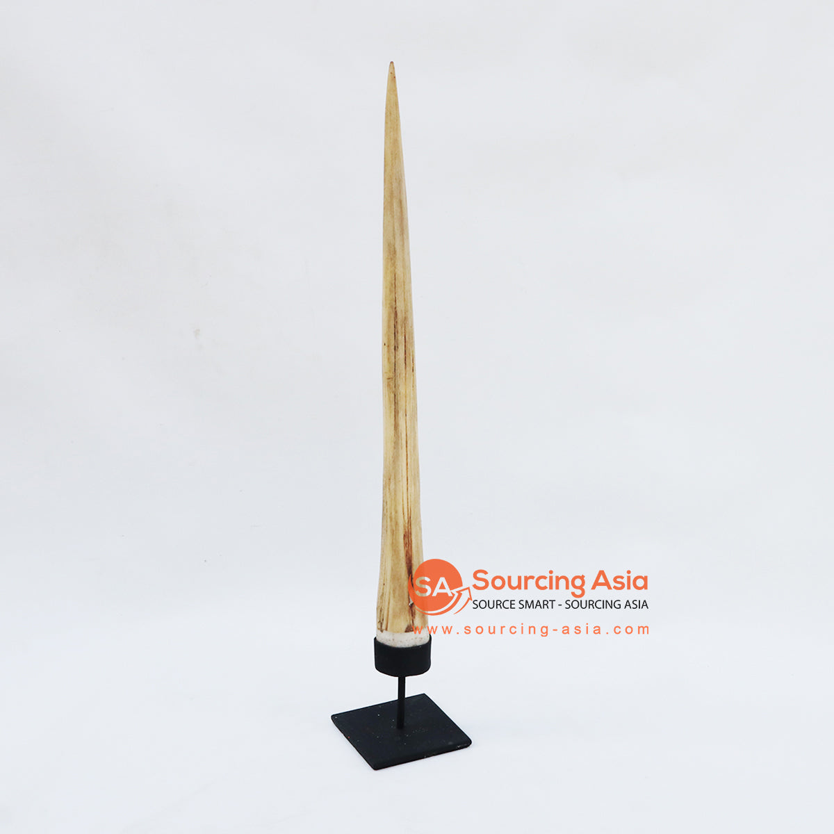 KNTC067 NATURAL MARLIN TOOTH BONE ON STAND DECORATION