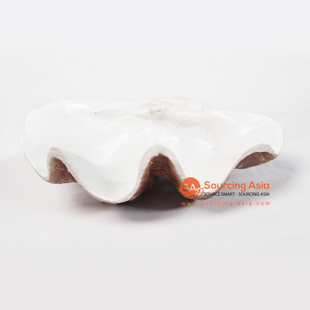 SHL002 LARGE RESIN CLAM SHELL