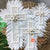 SHL056-6 SET OF THREE WHITE FEATHER AND SHELL CROSS DECORATIONS
