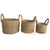 SHL057-2 SET OF THREE NATURAL SEAGRASS BASKETS WITH HANDLE