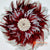 SHL076-6 WHITE AND RED FEATHER WITH WHITE SHELL JUJU WALL DECORATION