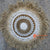 SHL170-13 NATURAL RAFFIA AND SHELL WALL DECORATION