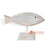 SKH006 WHITE WASH WOODEN FISH ON STAND DECORATION